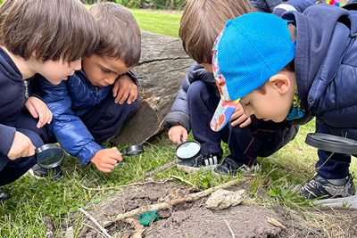 Día de la Naturaleza – Salas de 4